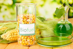Ludgvan biofuel availability